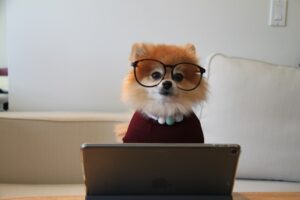 Compétence professionnelle
