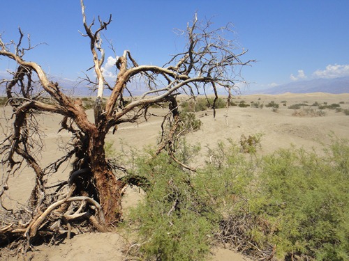 Death-Valley-desert
