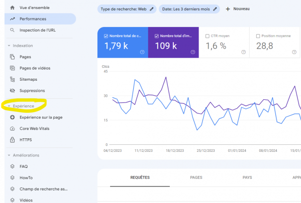Audit SEO Google Search Console Experience